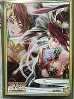 三国志大戦TCG 16弾 PT貂蝉　3枚セット Amazon | 三国志大戦トレーディングカードゲーム オフィシャル